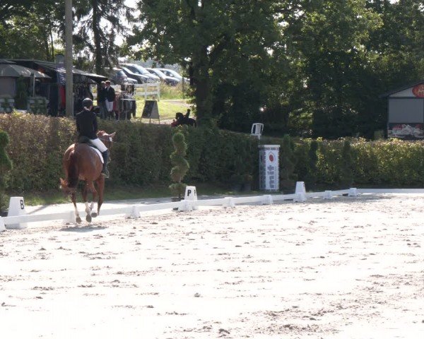 Reitturnier Vlotho-Exter 2024