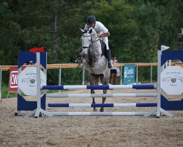 broodmare Farida JB (Oldenburg show jumper, 2018, from Kanndarco)