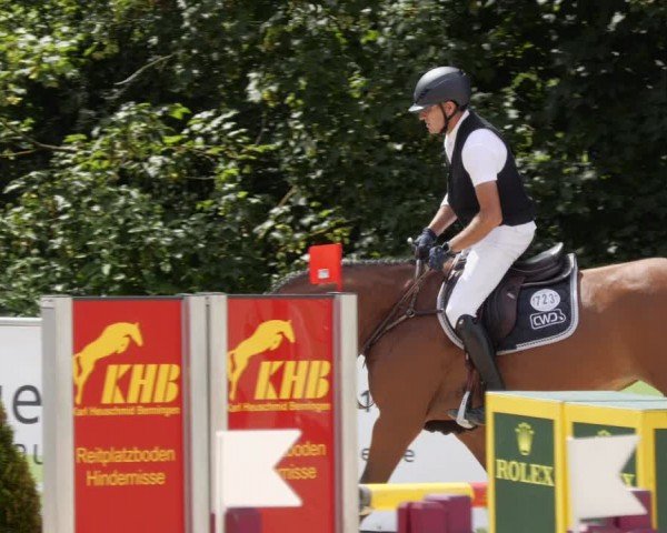 Reitturnier Karlsfeld/Obb. 2024