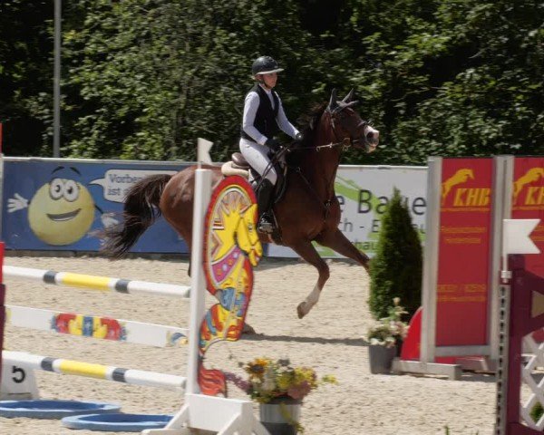 Reitturnier Karlsfeld/Obb. 2024