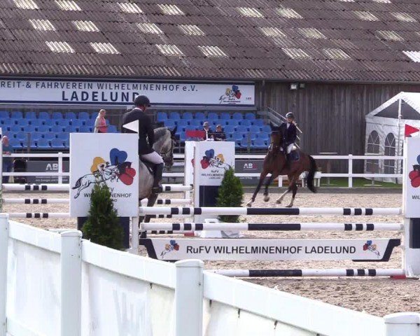 Reitturnier Ladelunder Springtage 2024