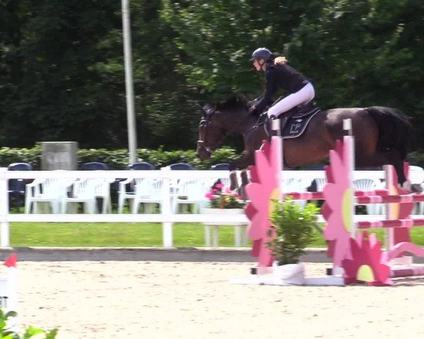 Reitturnier Ladelunder Springtage 2024