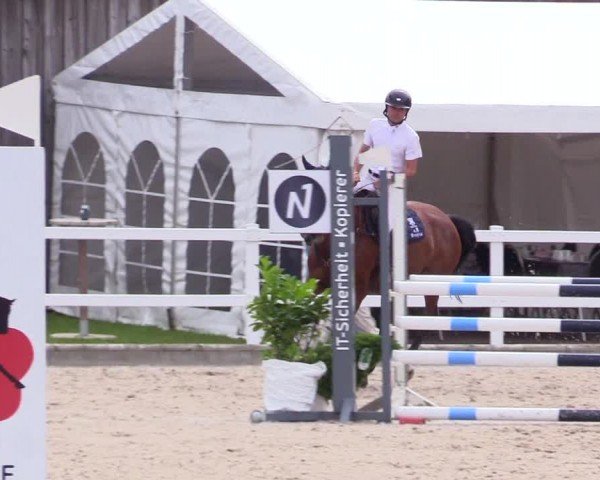 Reitturnier Ladelunder Springtage 2024