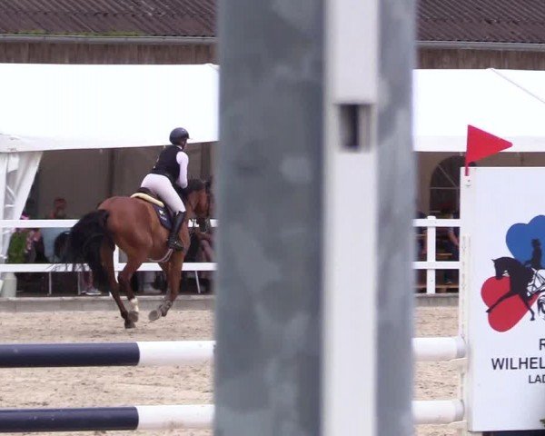 Reitturnier Ladelunder Springtage 2024