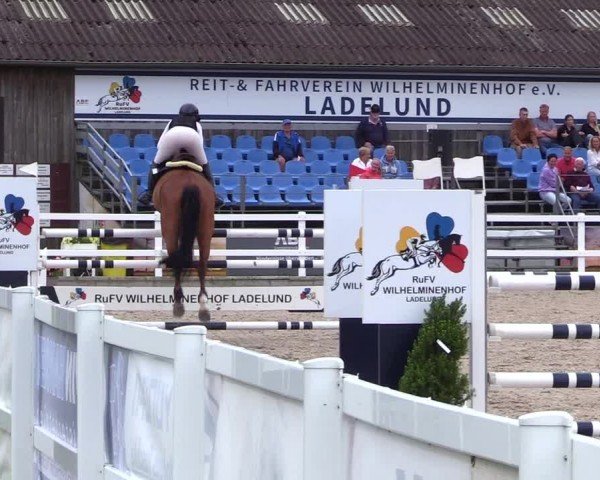 Reitturnier Ladelunder Springtage 2024