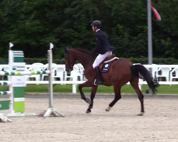 Reitturnier Ladelunder Springtage 2024
