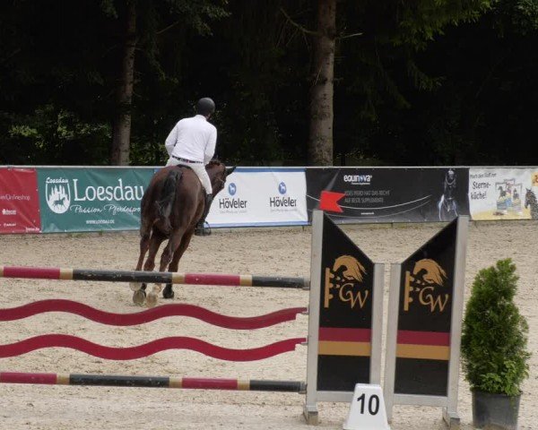 Reitturnier Karlsfeld/Obb. 2024