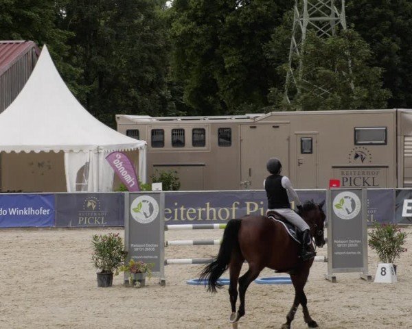 Reitturnier Karlsfeld/Obb. 2024