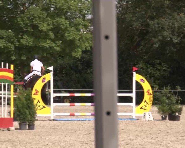 Reitturnier Rot am See Musdorf 2024