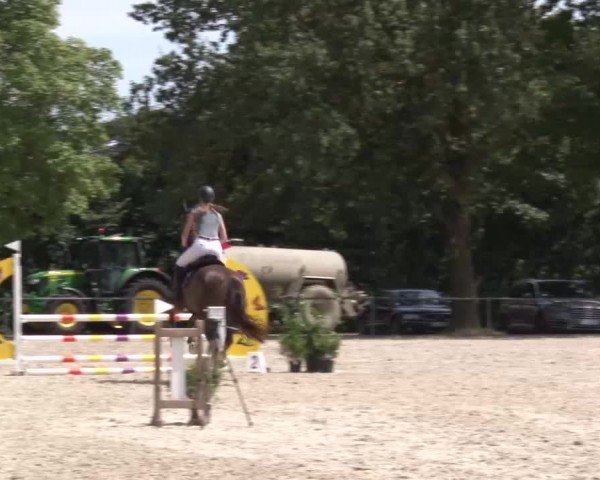 Reitturnier Rot am See Musdorf 2024