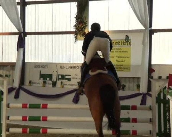 Hallen-Dressur- und Spring-Late-Entry im Reitsportzentrum Gerd Könemann 2013
