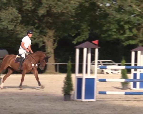 Reitturnier Rot am See Musdorf 2024