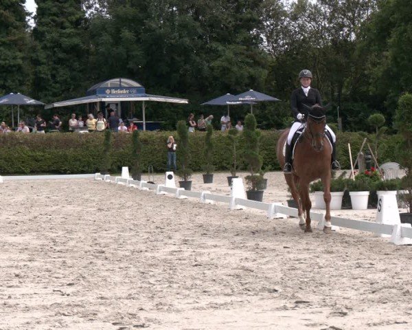Reitturnier Vlotho-Exter 2024