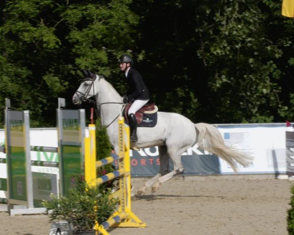 Reitturnier Karlsfeld/Obb. 2024