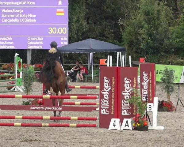 Reitturnier Bad Wildungen 2024
