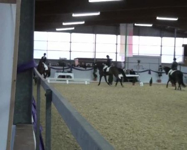 Hallen-Dressur- und Spring-Late-Entry im Reitsportzentrum Gerd Könemann 2013
