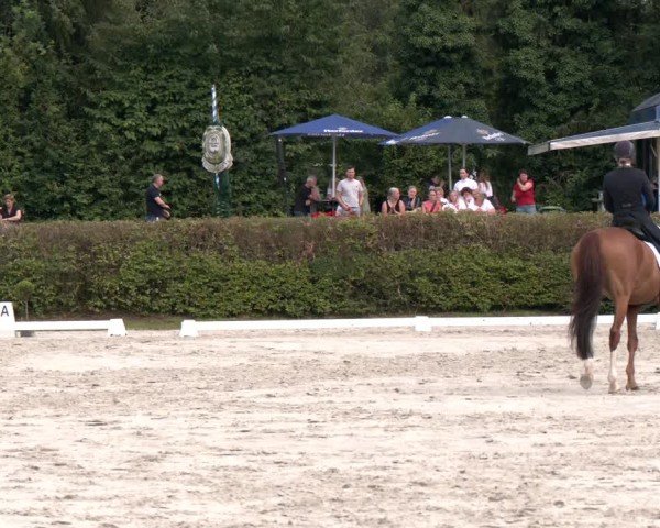 Reitturnier Vlotho-Exter 2024