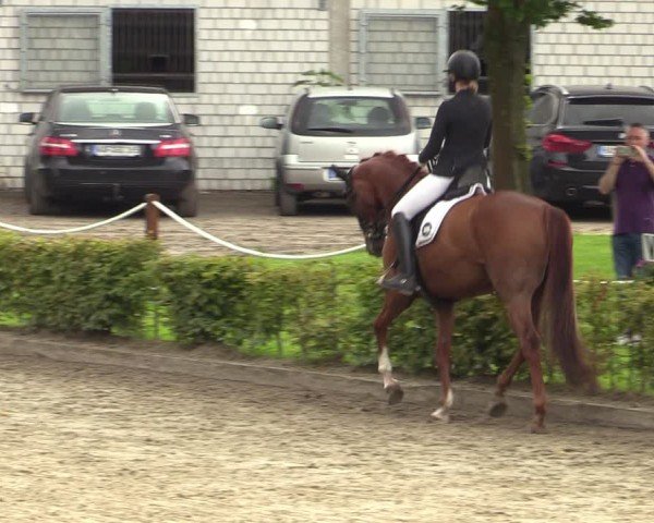 Reitturnier Olfen-Vinnum 2024