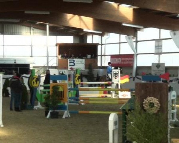 I. Hallen Youngster Turnier des RuF Rhede-Krommert im Reitersportzentrum Gerd Koenemann 2013