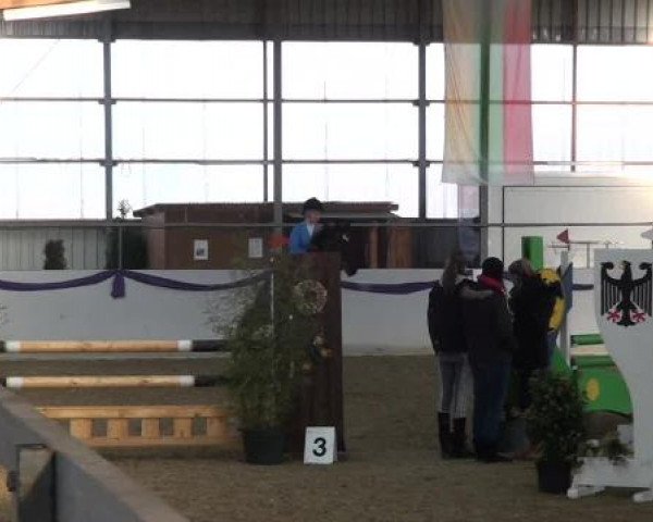 I. Hallen Youngster Turnier des RuF Rhede-Krommert im Reitersportzentrum Gerd Koenemann 2013
