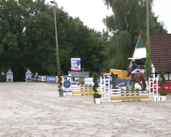 Reitturnier Vlotho-Exter 2024