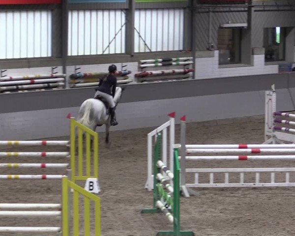 Reitturnier Luhmühlen 2021