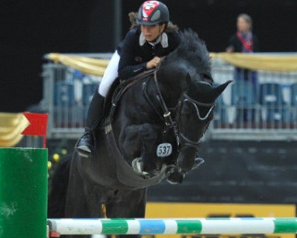 stallion La Campo (Hanoverian, 2004, from Landclassic)