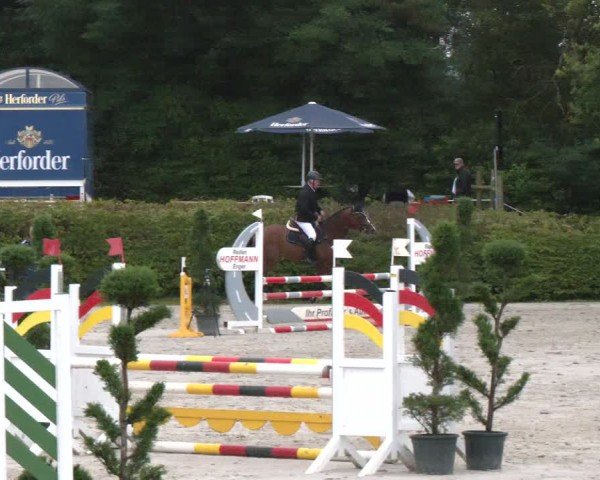 Reitturnier Vlotho-Exter 2024