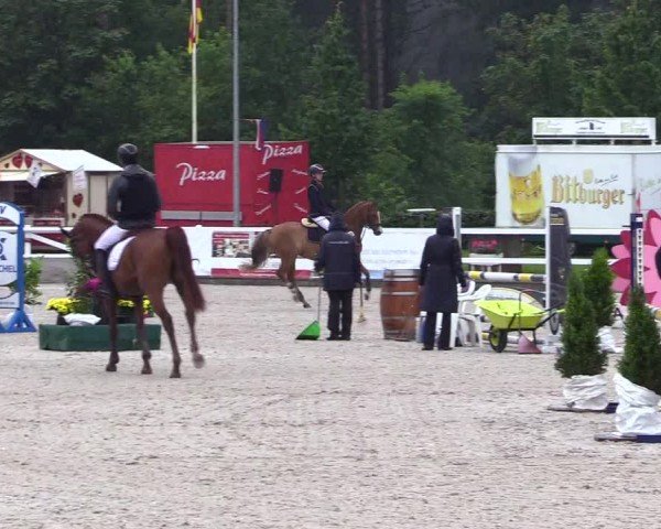 Reitturnier Ladelunder Springtage 2024