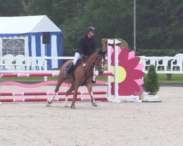 Reitturnier Ladelunder Springtage 2024