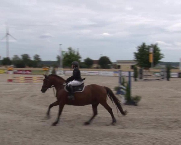 Reitturnier Rot am See Musdorf 2024