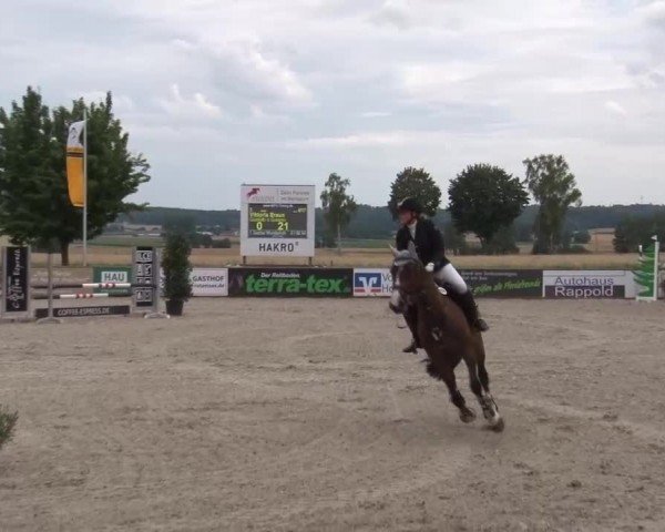 Reitturnier Rot am See Musdorf 2024