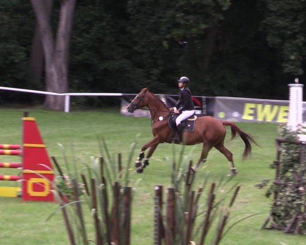 Reitturnier Gorgast 2024