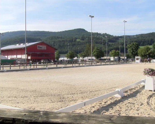 Reitturnier Balsthal 2024