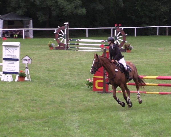 Reitturnier Gorgast 2024