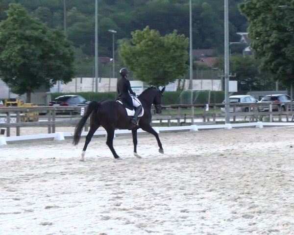 Reitturnier Balsthal 2024