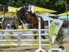 jumper Casaleezza M (Oldenburg show jumper, 2016, from Casalido)