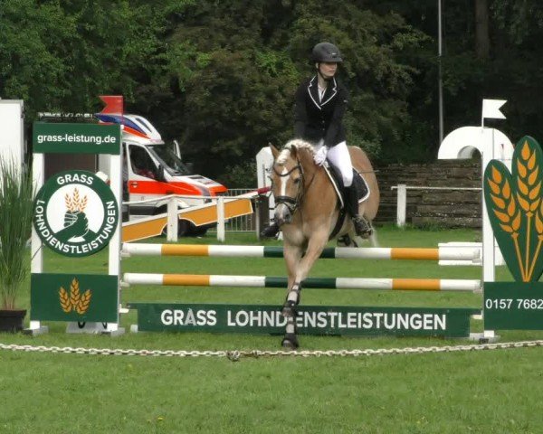 Reitturnier Hannover/Reiterstadion 2024