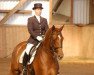 dressage horse Better next time 2 (Trakehner, 2006, from Lauries Crusador xx)