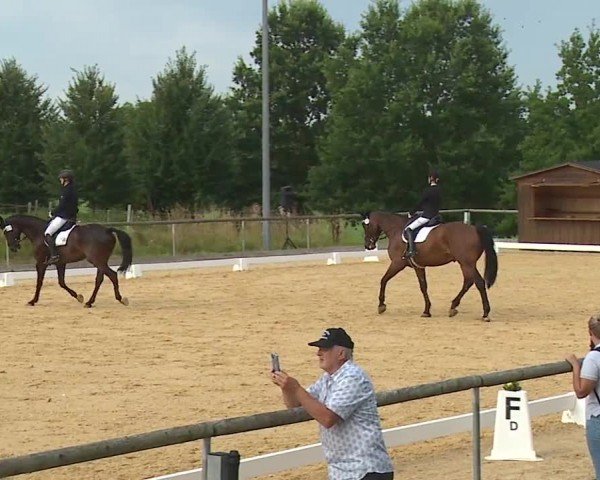 Reitturnier Altentrüdingen/Mfr. 2024