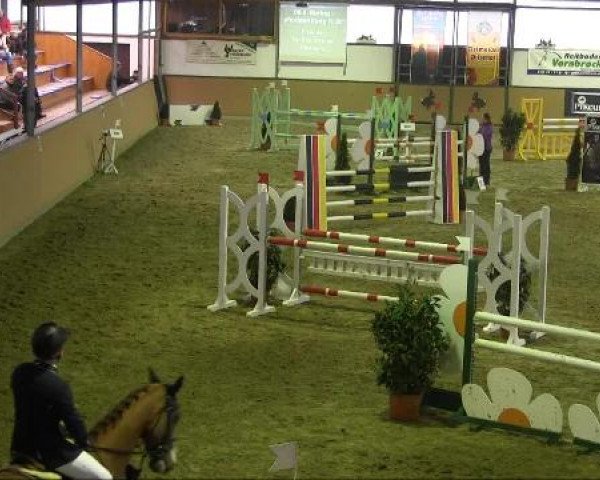 Ravensberger Pferdetage 2013