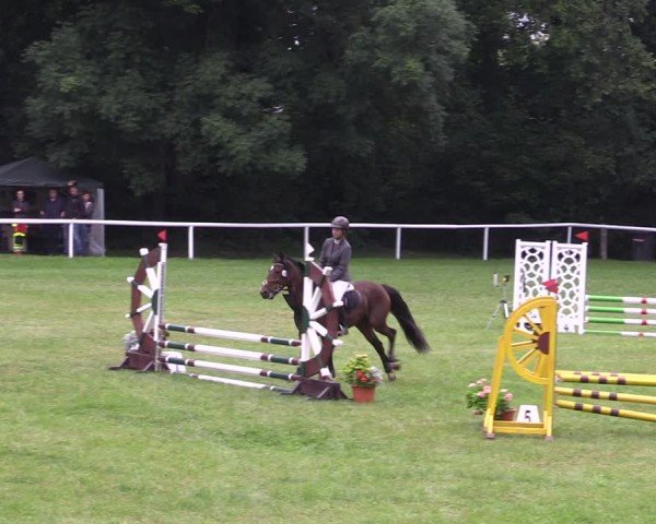 Reitturnier Gorgast 2024