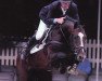 Deckhengst Padinus (Koninklijk Warmbloed Paardenstamboek Nederland (KWPN), 1997, von Heartbreaker)