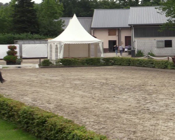Reitturnier Olfen-Vinnum 2024