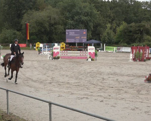 Reitturnier Bad Wildungen 2024