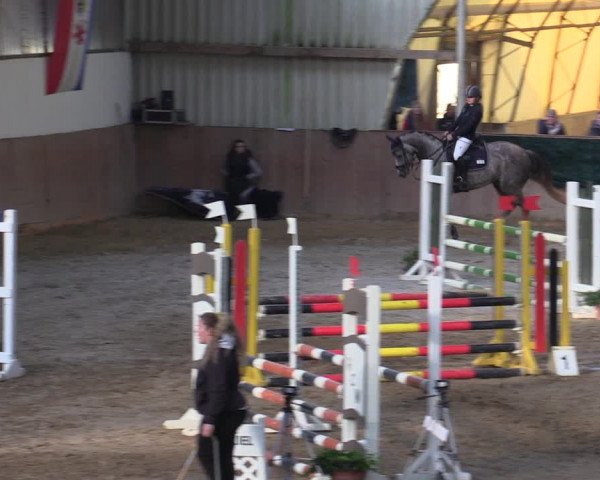 Reitturnier Wollersleben 2021