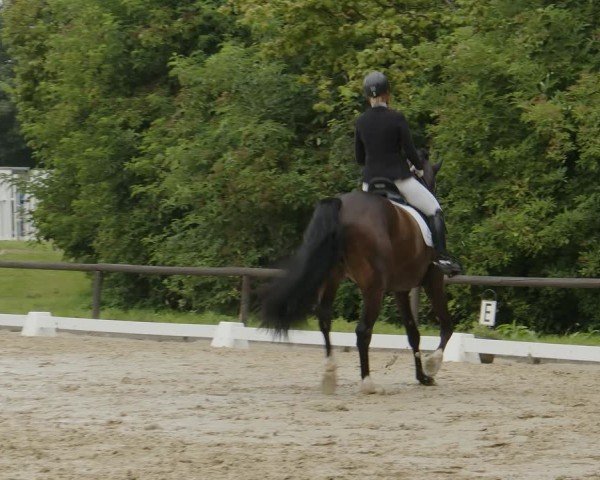 Reitturnier Marienheide-Kempershöhe 2024