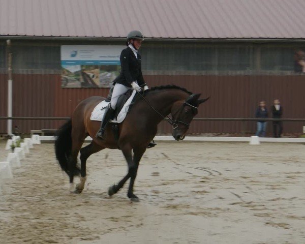 Reitturnier Marienheide-Kempershöhe 2024