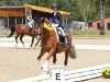 broodmare Bali vM (German Riding Pony, 2012, from Beckenbauer)