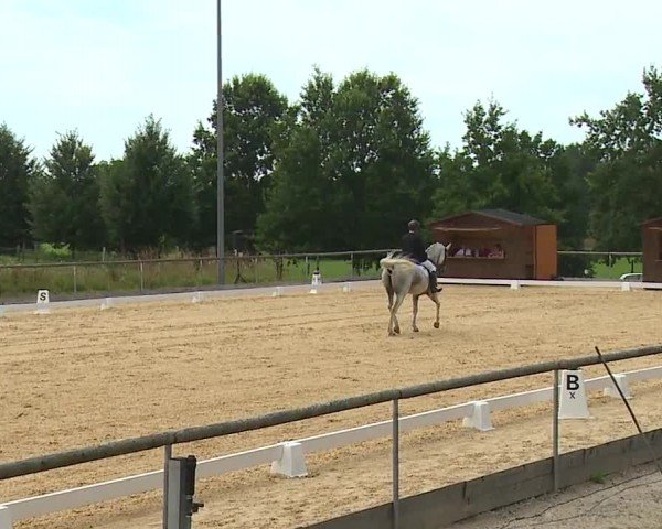 Reitturnier Altentrüdingen/Mfr. 2024